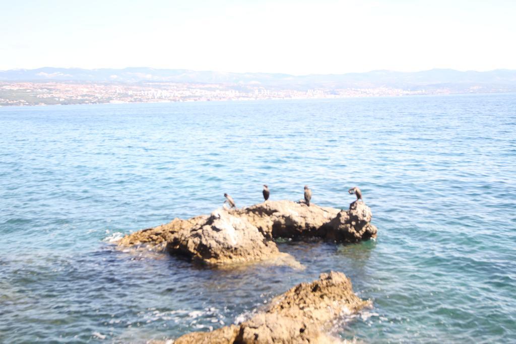 Ičići Stressfree Villa מראה חיצוני תמונה